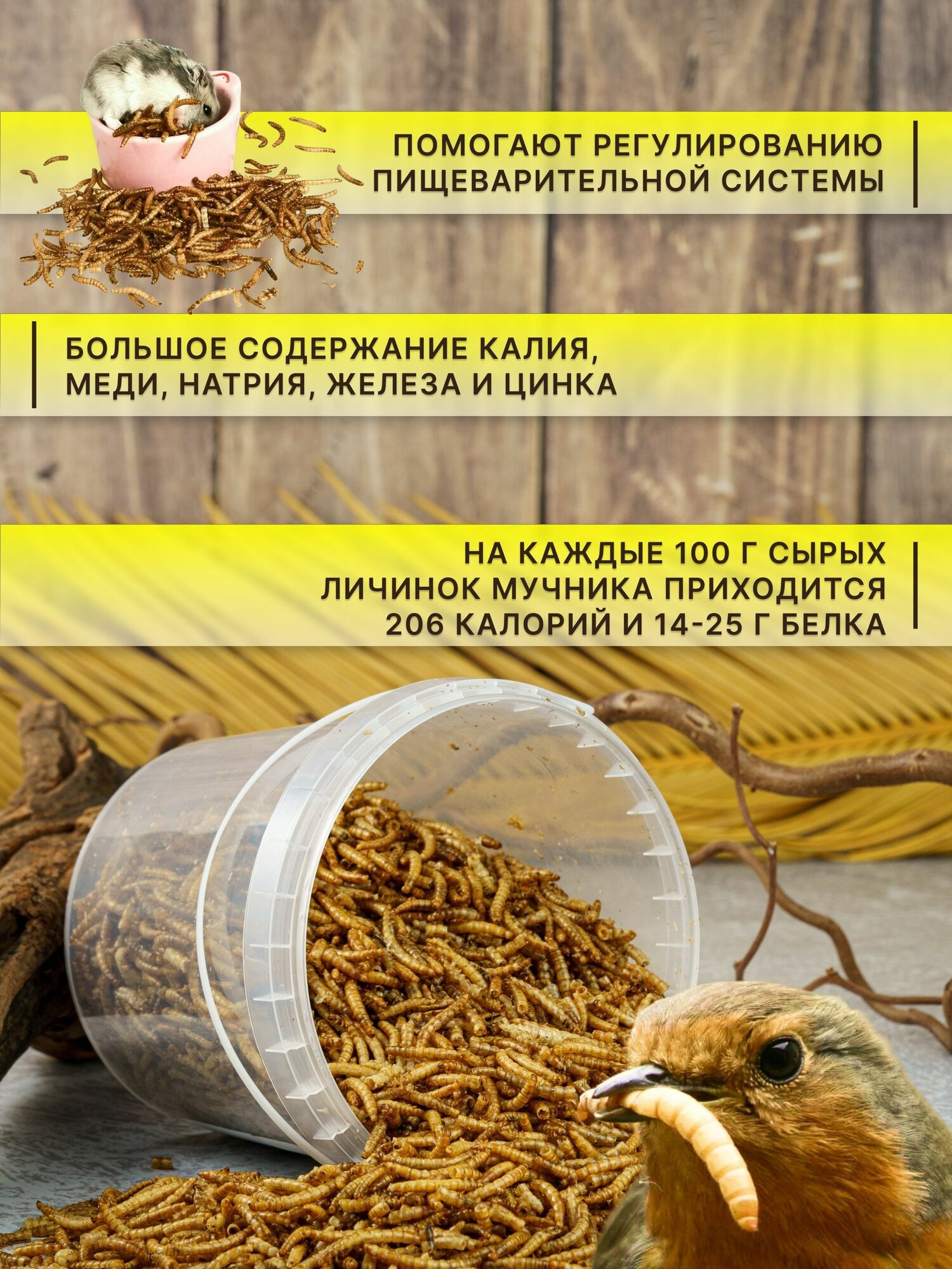 Мучной червь сушеный, натуральный корм для птиц и рептилий, сушеные личинки и лакомство для грызунов, хомяков и ежей, 105 г