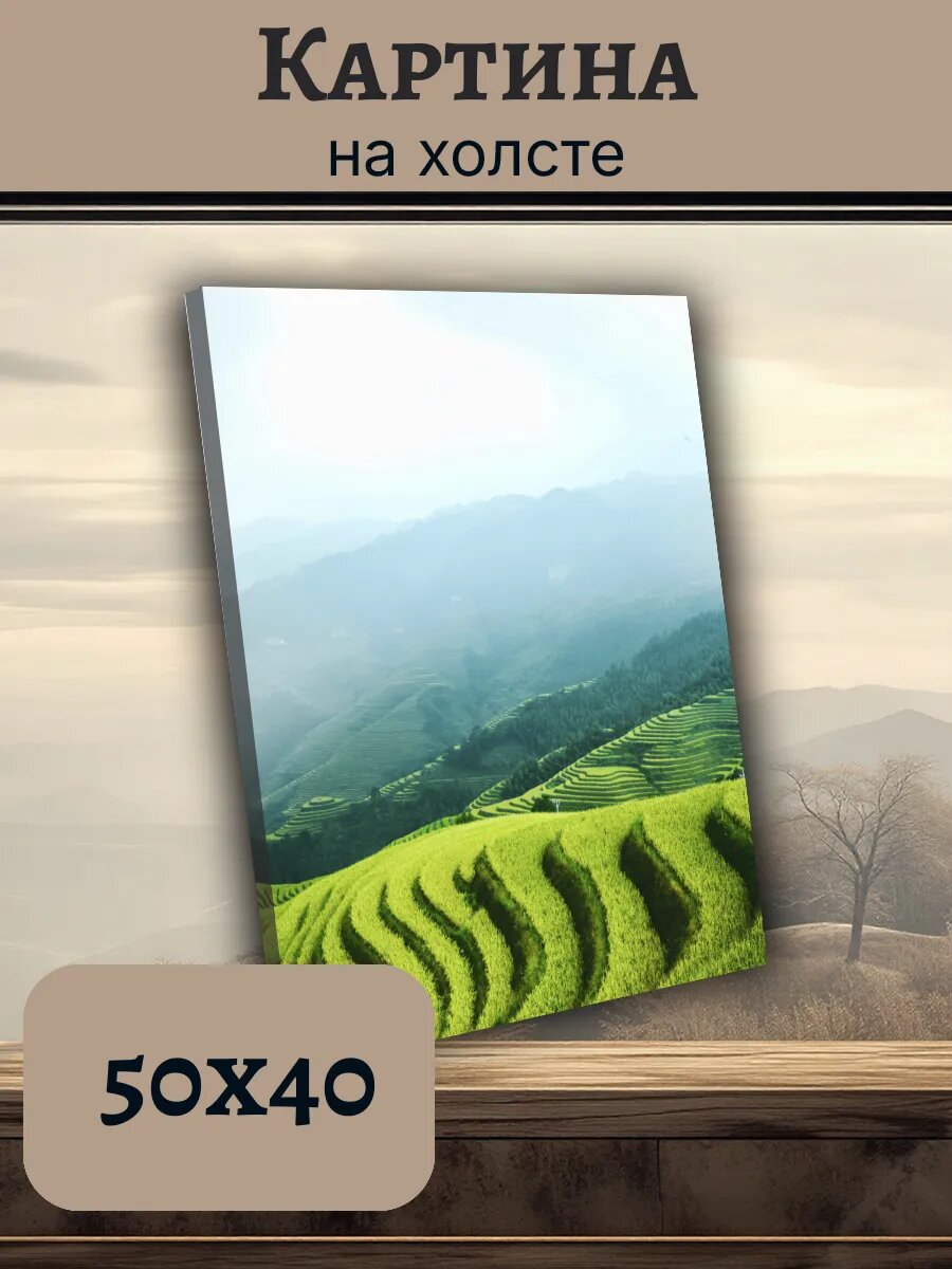 Картина Постер Китай China 40x50 горный пейзаж