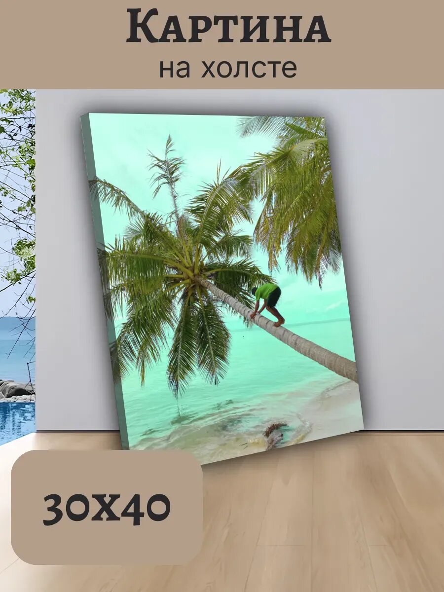 Картина Постер Мальдивы Maldives 30x40 с мужчиной на пальме