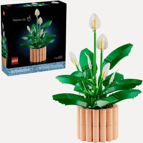 Изображение товара Конструктор Lego Botanicals 11504 Спатифиллум