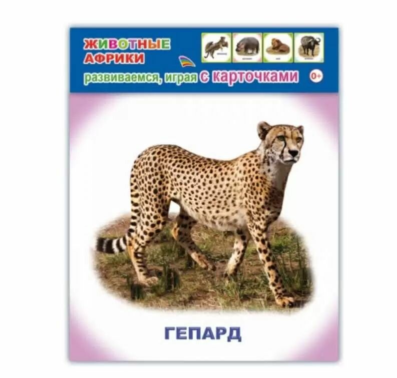Развивающие карточки "Животные Африки" 12 шт. "Леда"