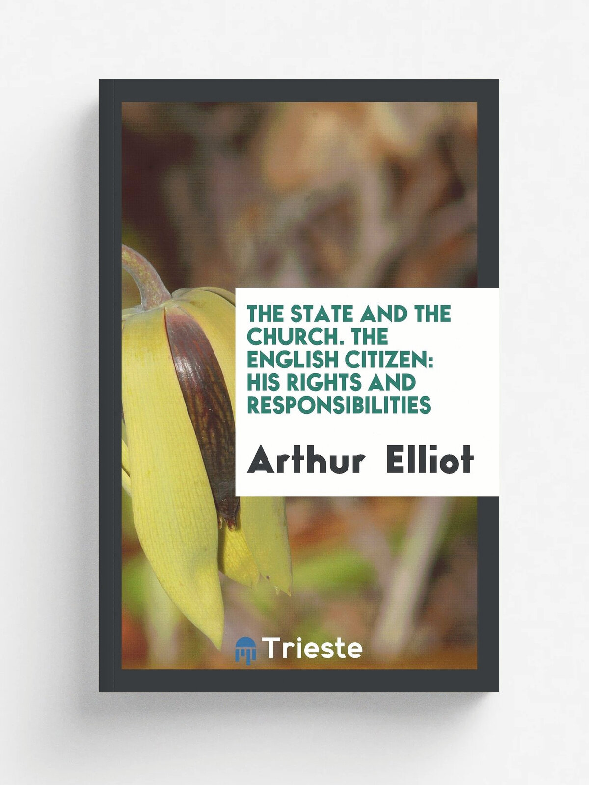 The State and the Church. The English Citizen. His Rights and Responsibilities