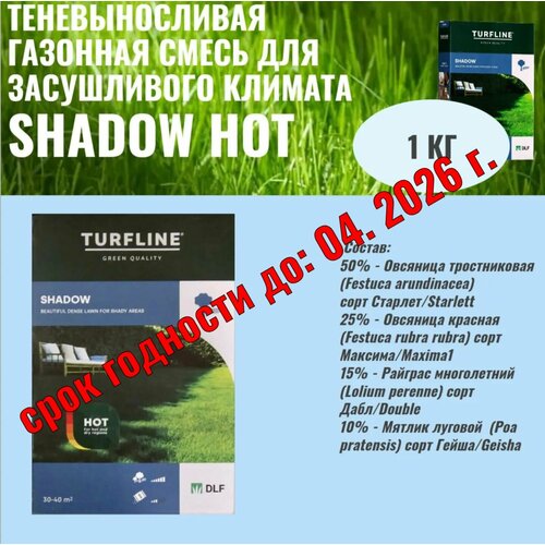 фото Семена газонной травы dlf shadow hot (теневыносливая смесь ) 1 кг
