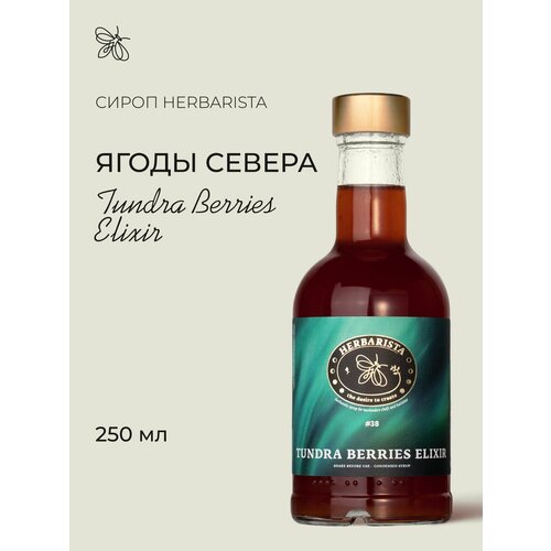 фото Сироп для кофе и коктейлей, десертов и выпечки herbarista, северные ягоды tundra berries elixir, 250 мл