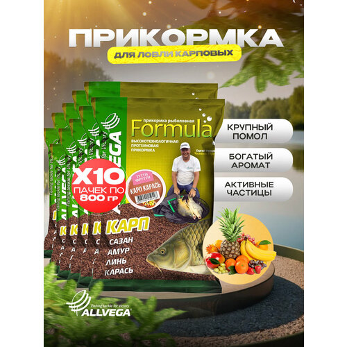 Прикормка для рыбалки ALLVEGA Formula карп карась 10 пачек по 0.9 кг