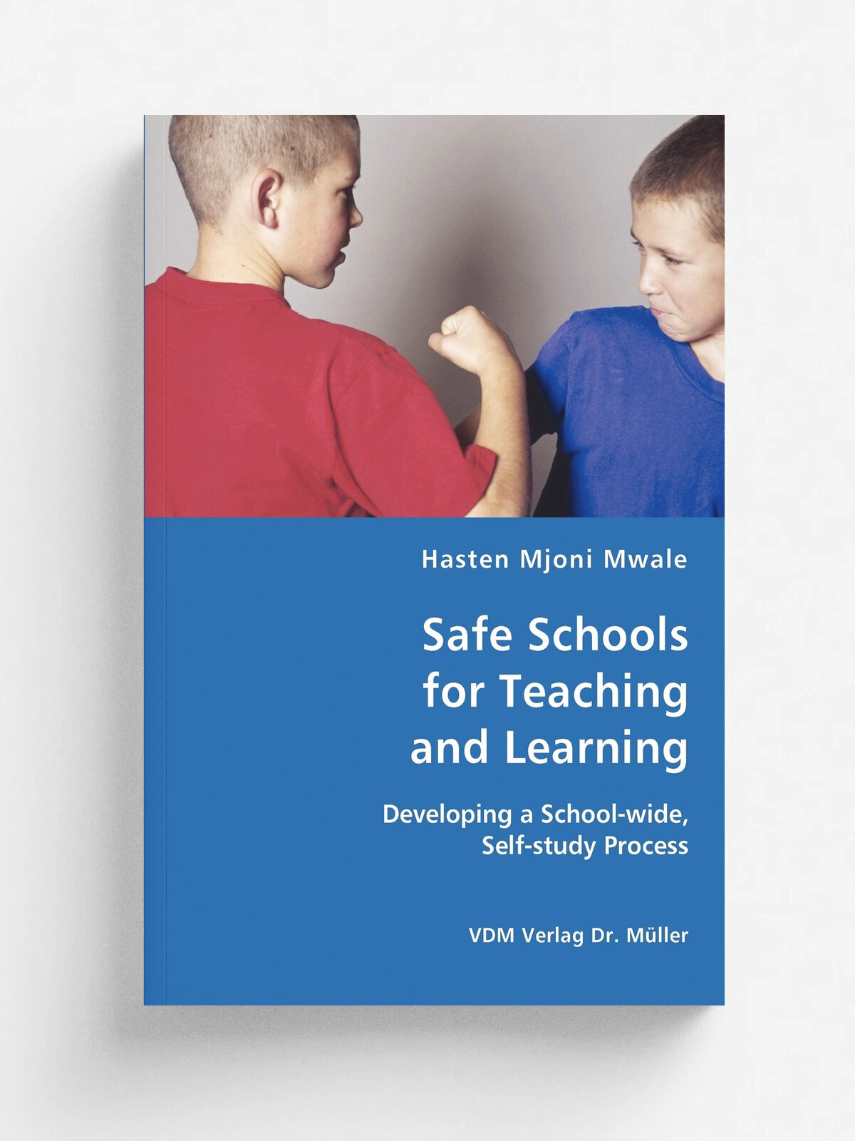 Safe Schools for Teaching and Learning