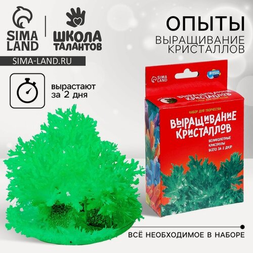 Изображение товара Набор для опытов "Лучистый кристалл" выращивание кристаллов, Школа талантов