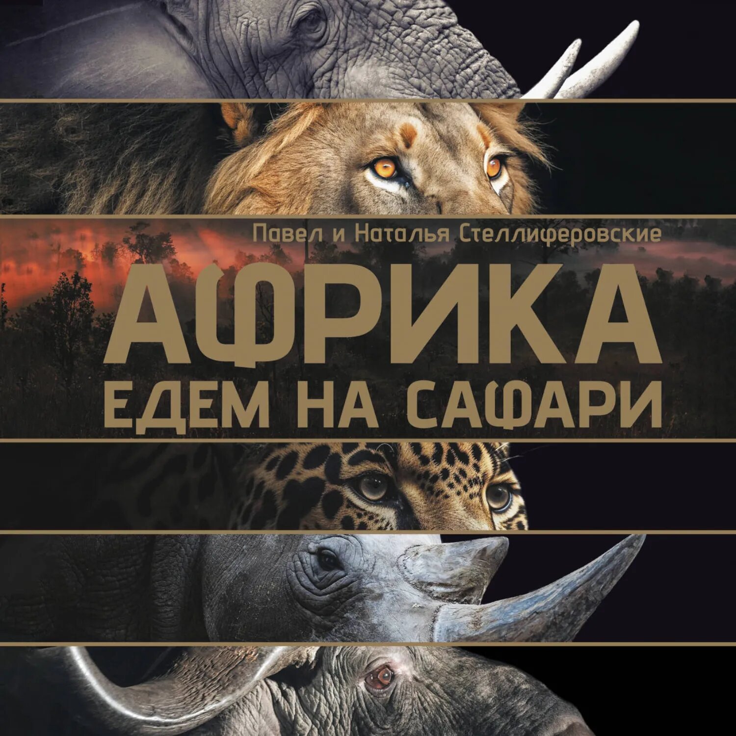 Африка. Едем на сафари [Аудиокнига]