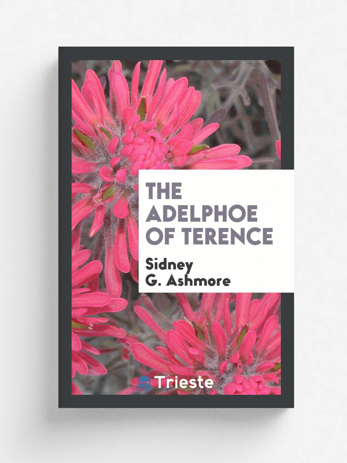 The Adelphoe of Terence