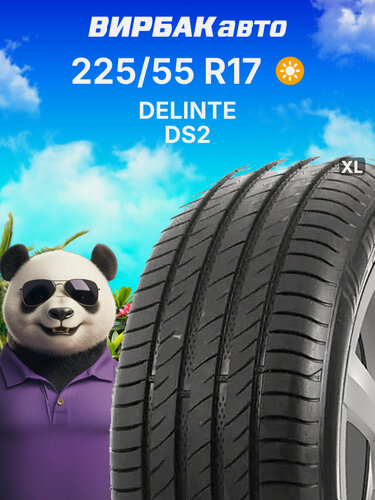 Изображение товара Летние шины DELINTE DS2 225/55 R17 101W XL