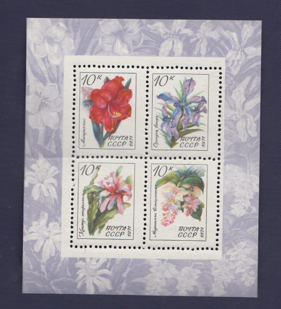 (1971-126-129) Блок марок СССР "Флора тропиков и субтропиков" , III негашеная