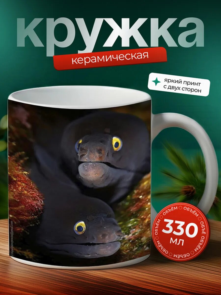Кружка Мурена рыба 20,
