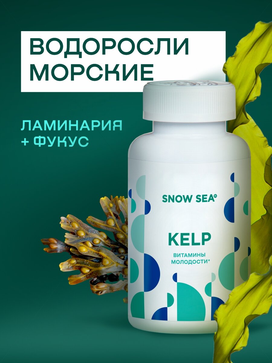Kelp водоросли (ламинария и фукус), 224 ед.