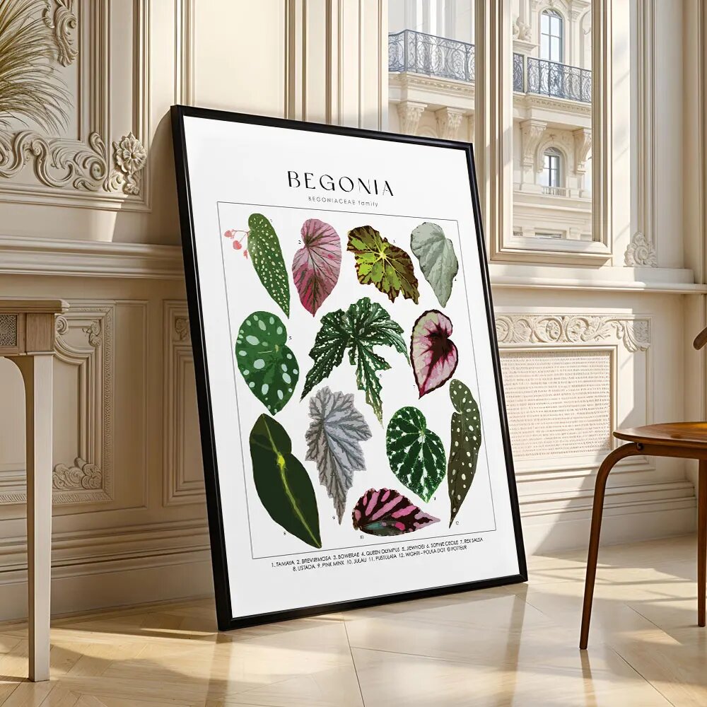 Ботанический принт Begonia, A3 30x42см, CD348