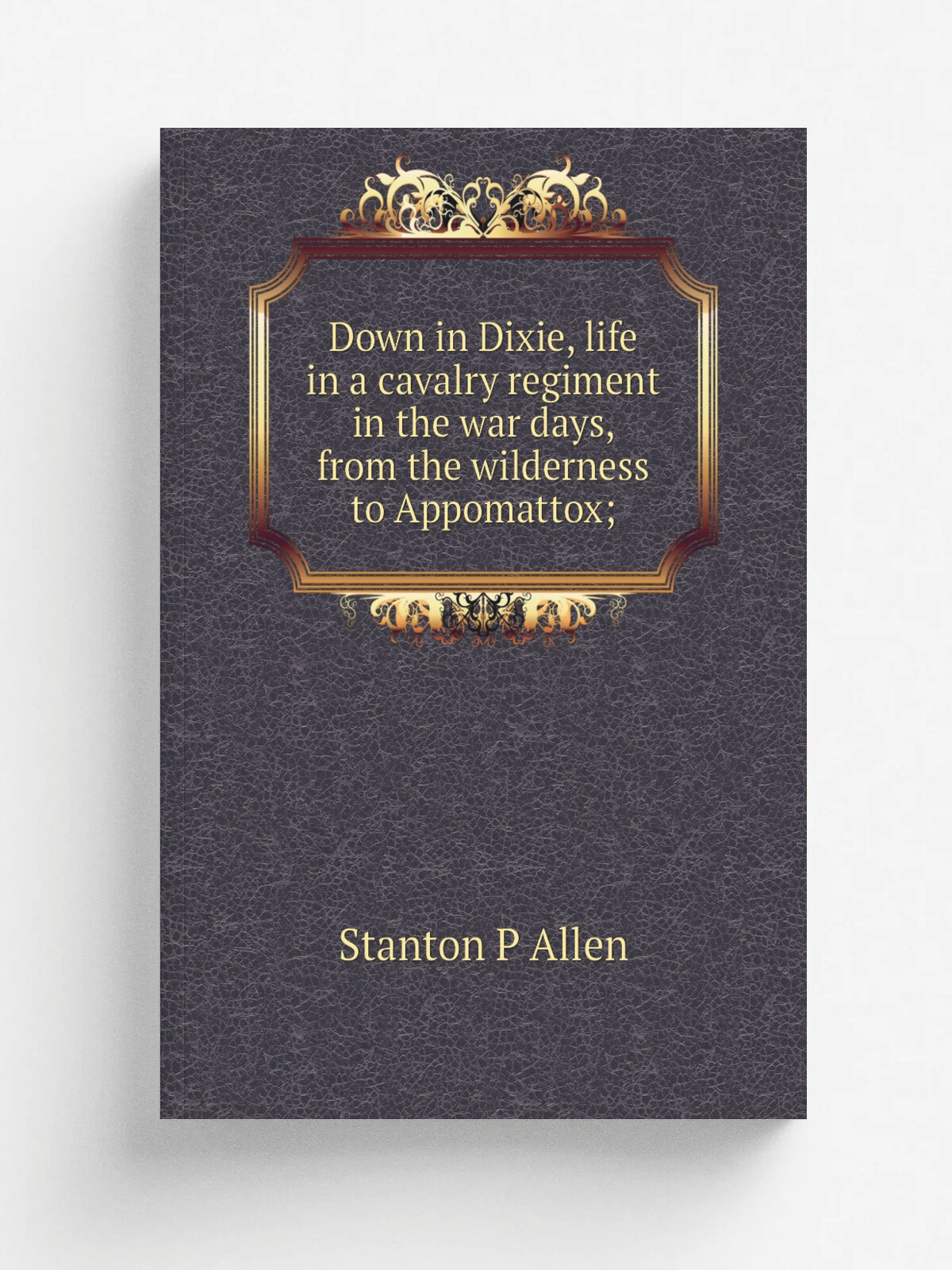 Down in Dixie, life in a cavalry regiment in the war days, from the wilderness to Appomattox;