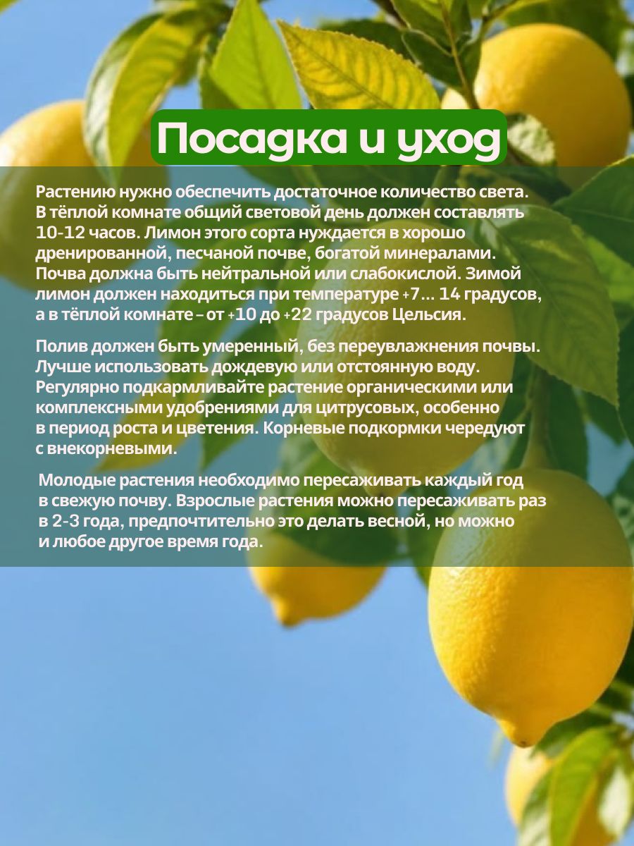 Лимон Ванильный — фото 1