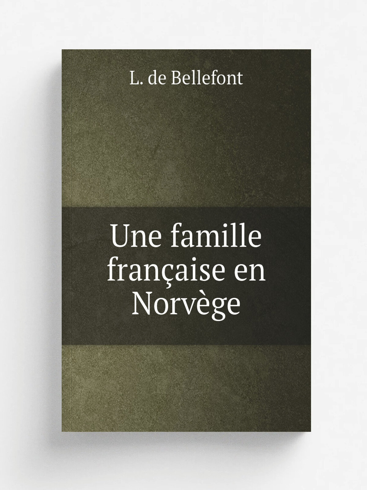 Une famille fran.aise en Norv.ge | L. de Bellefont | 1900 | .S.l. : Librairie nationale d'. ducation et de r.cr.ation | Репринт