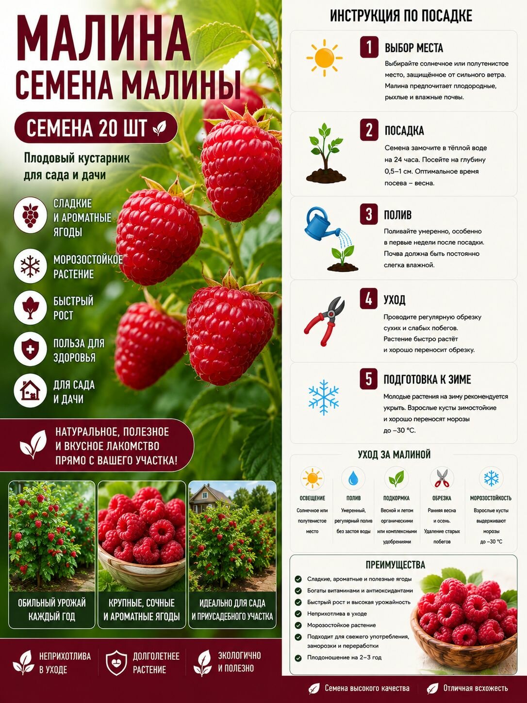 Малина Новость Кузьмина семена 20 шт, ягодный кустарник, сладкая садовая малина для сада и дачи, морозостойкий многолетник