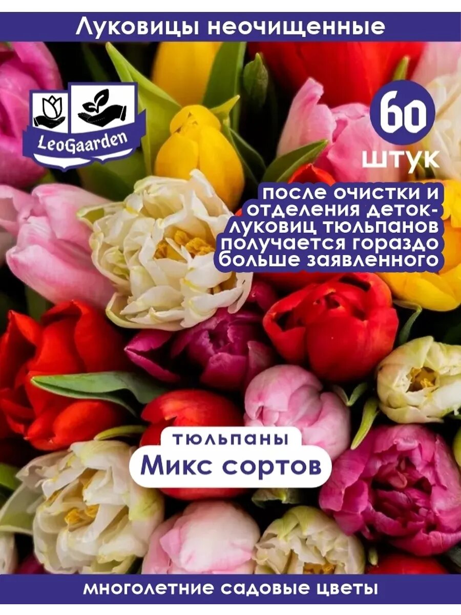 Тюльпан Луковицы, Микс сортов, 60шт
