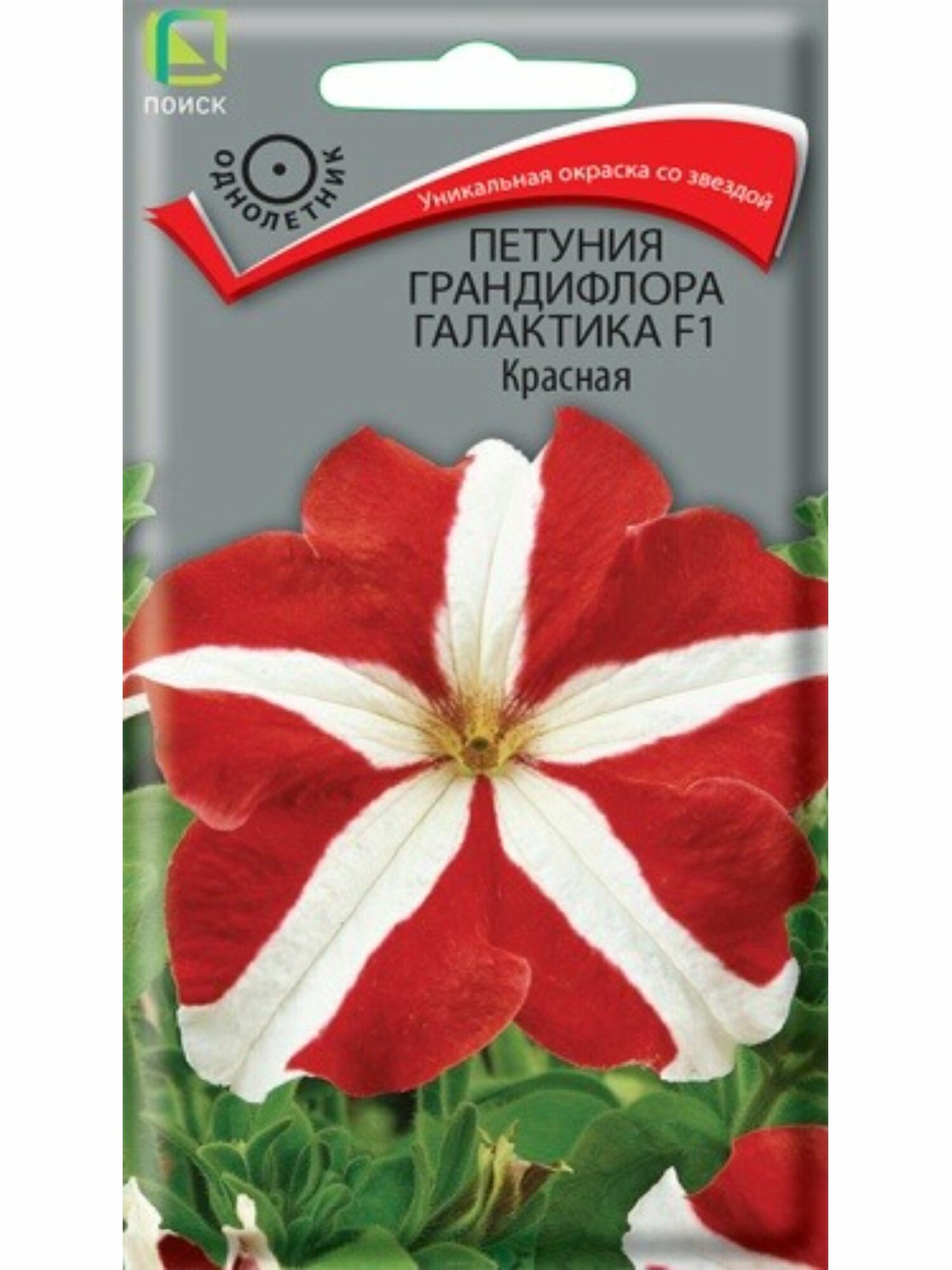 Семена Петуния, Галактика F1 Красная, 10 шт, цветная упаковка, Поиск