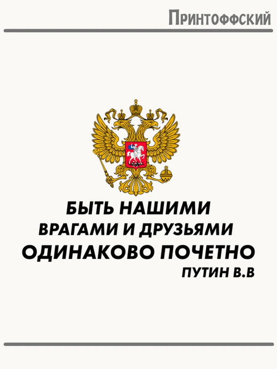 Термонаклейка для одежды и аксессуаров DTF-печать цитата Путина