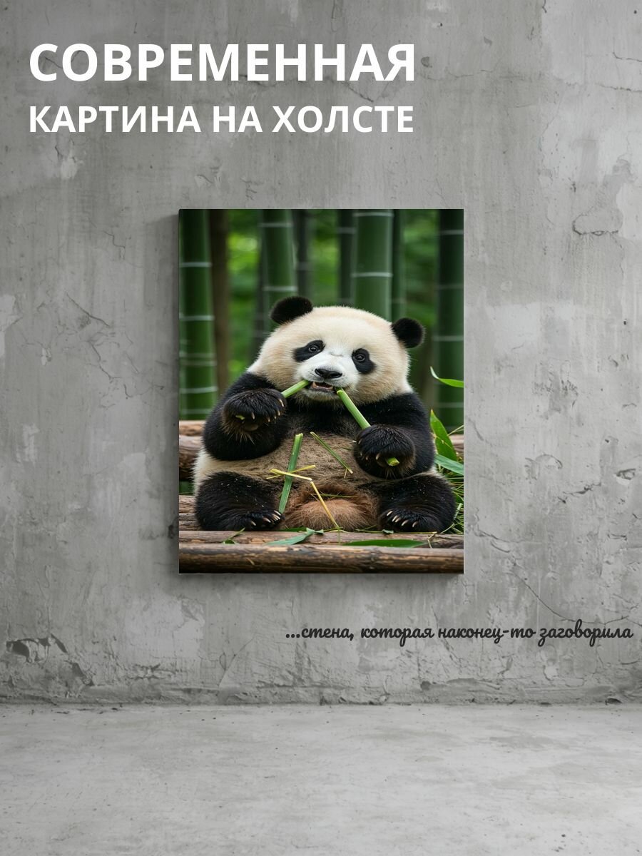 Картина на холсте Панда среди зелени 50x70 см