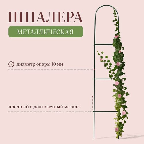Изображение товара Шпалера LAVANDA «Лестница», для вьющихся растений, металл, 140×23×1 см