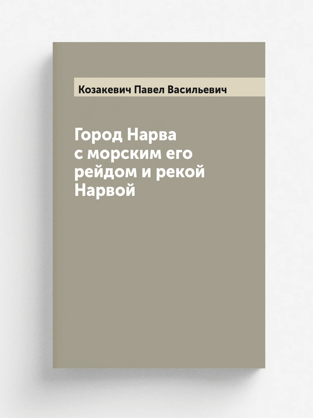 Город Нарва с морским его рейдом и рекой Нарвой | Козакевич Павел Васильевич | 1878 | Санкт-Петербург. Типография Морского Министерства | Репринт