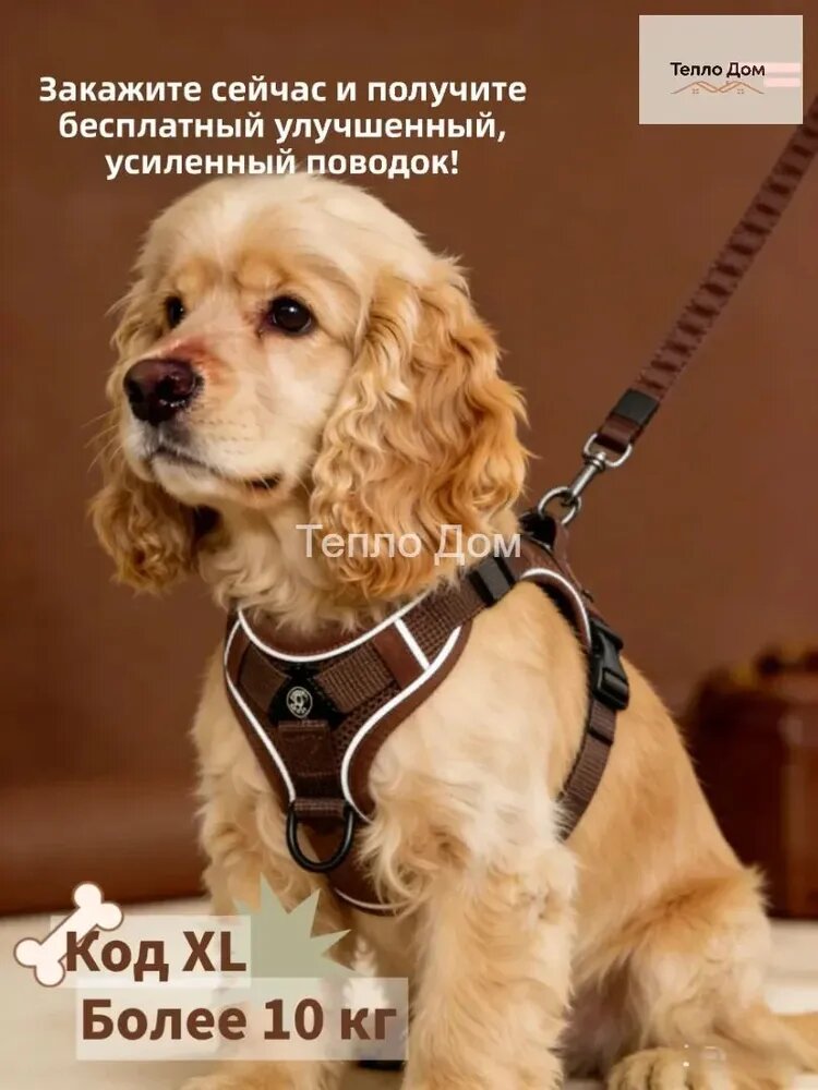 Шлейка для собак мелких и средних пород, с поводком, XL