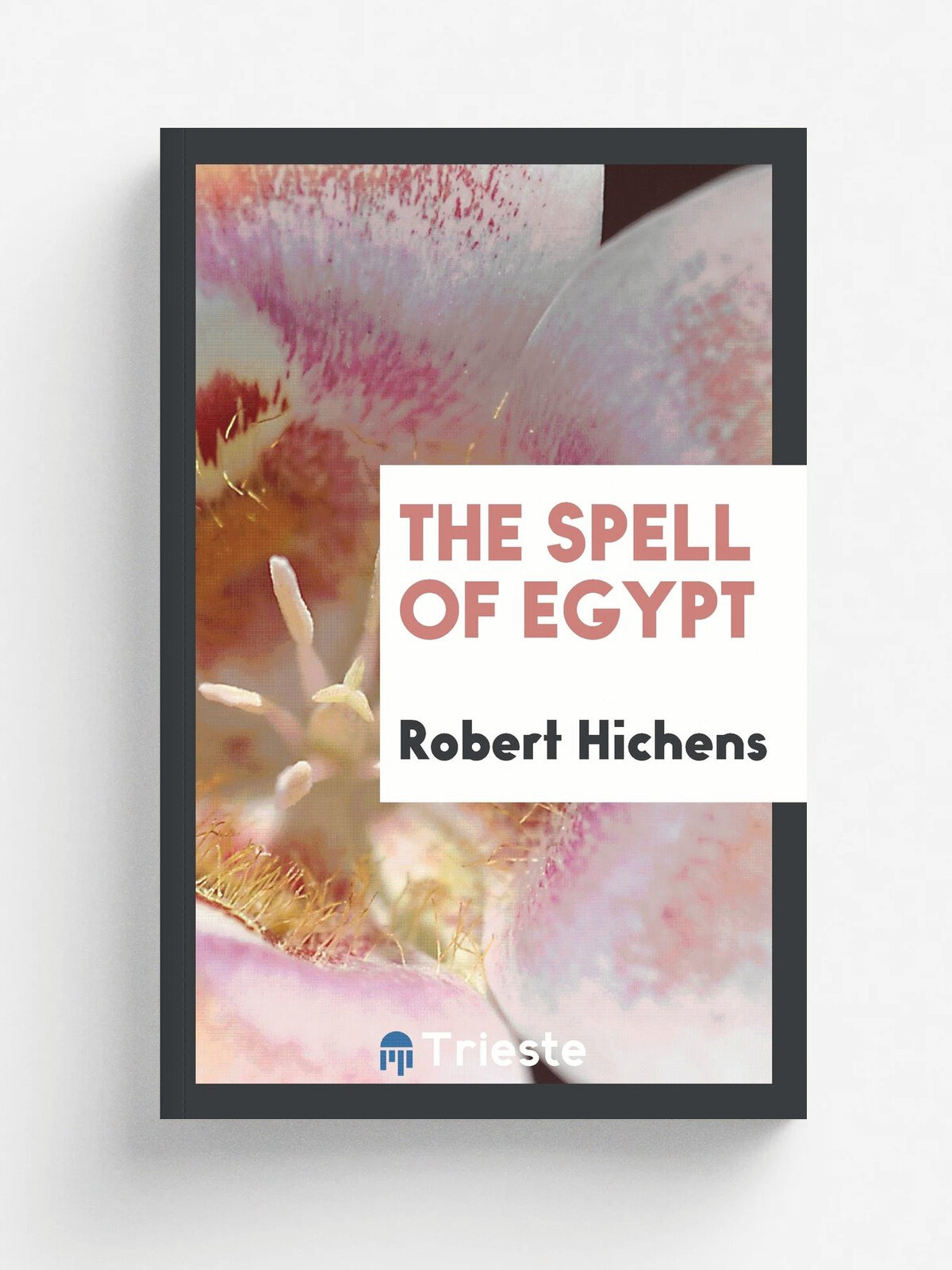The spell of Egypt
