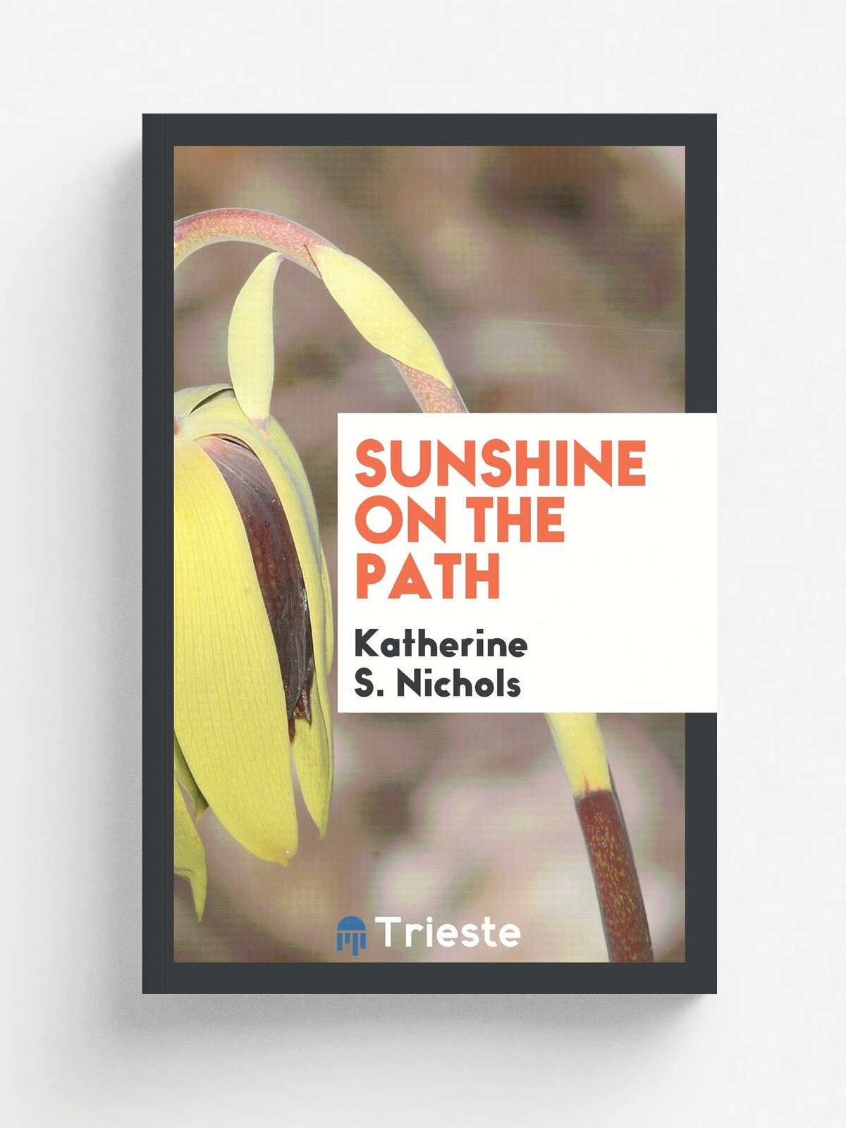 Sunshine on the Path
