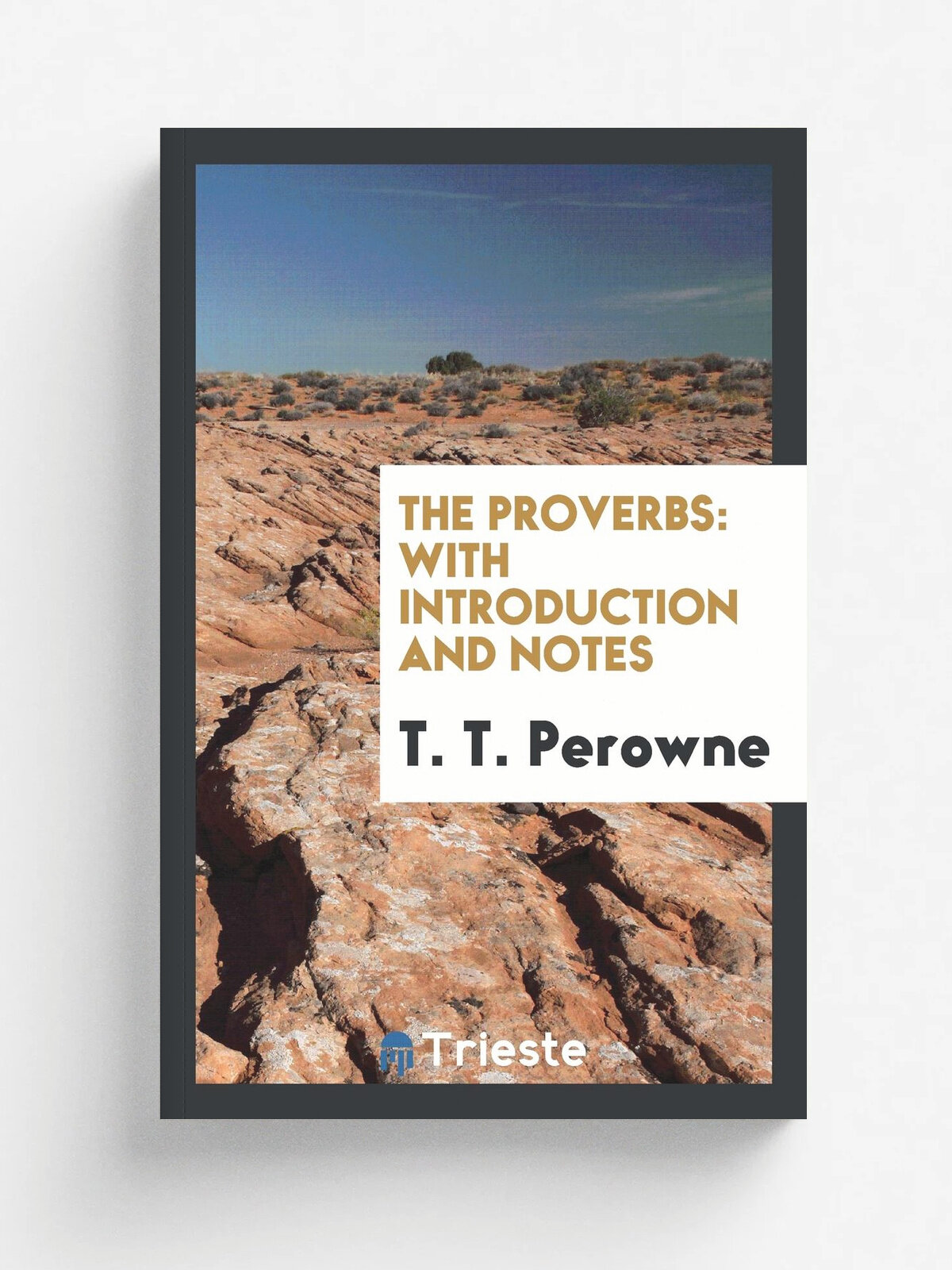 The Proverbs. with introduction and notes