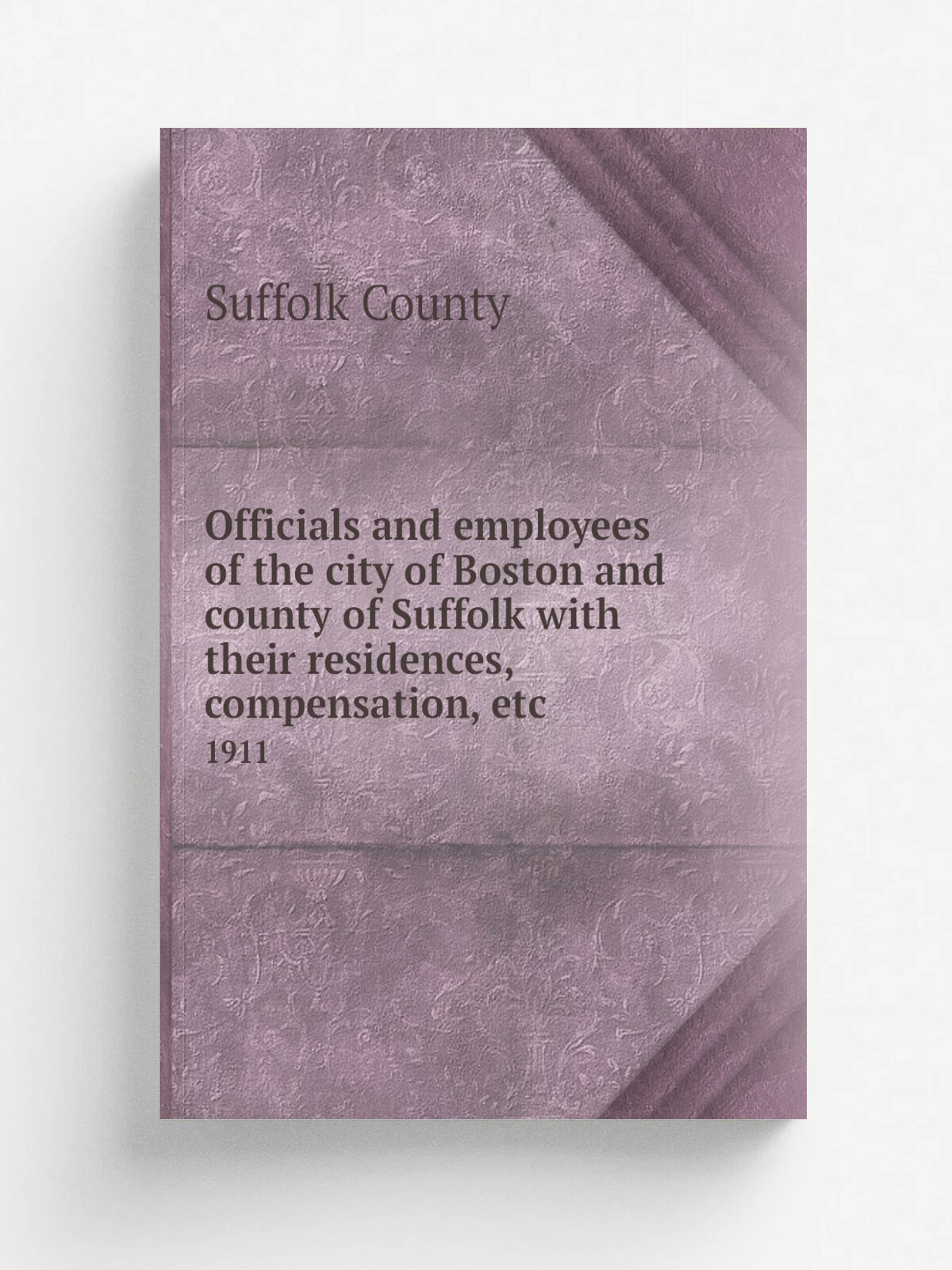 Officials and employees of the city of Boston and county of Suffolk with their residences, compensation, etc. 1911