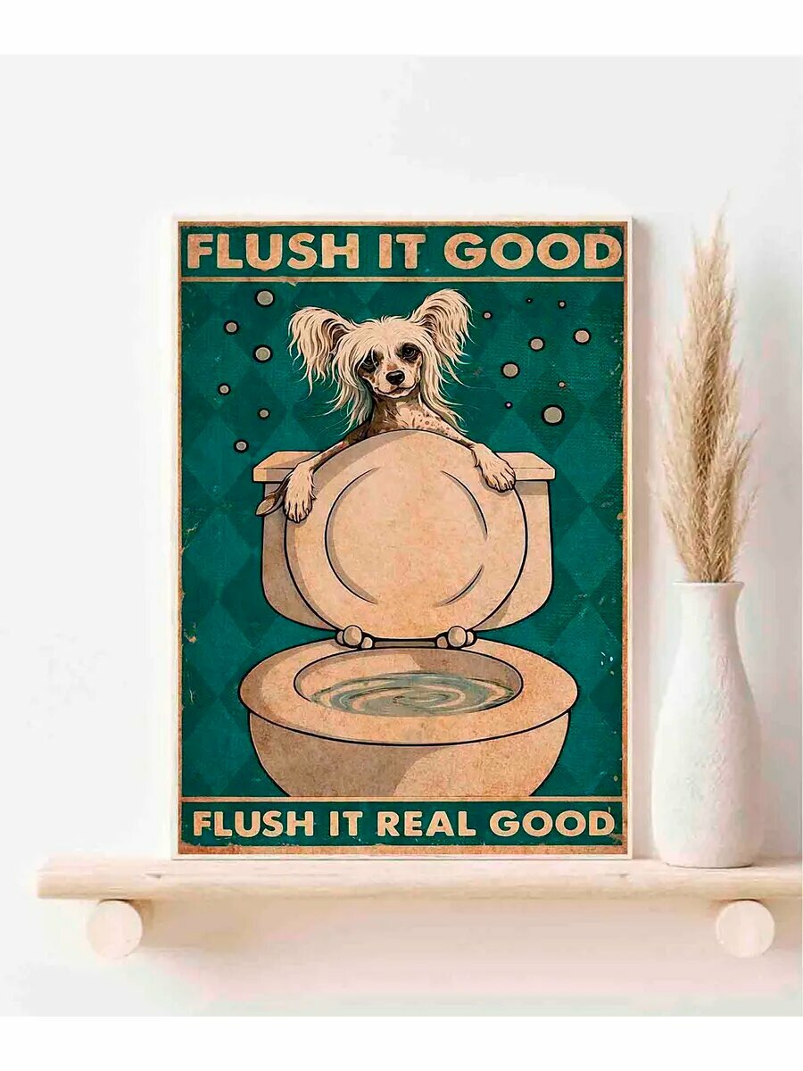 Китайская хохлатая собака, Flush It Good, It Real Good, Пла