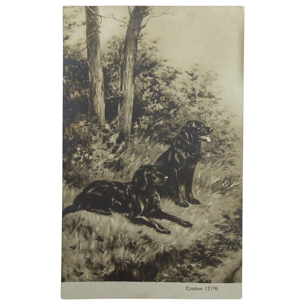 Почтовая открытка "Стойка" 1900-1916 гг. Российская Империя