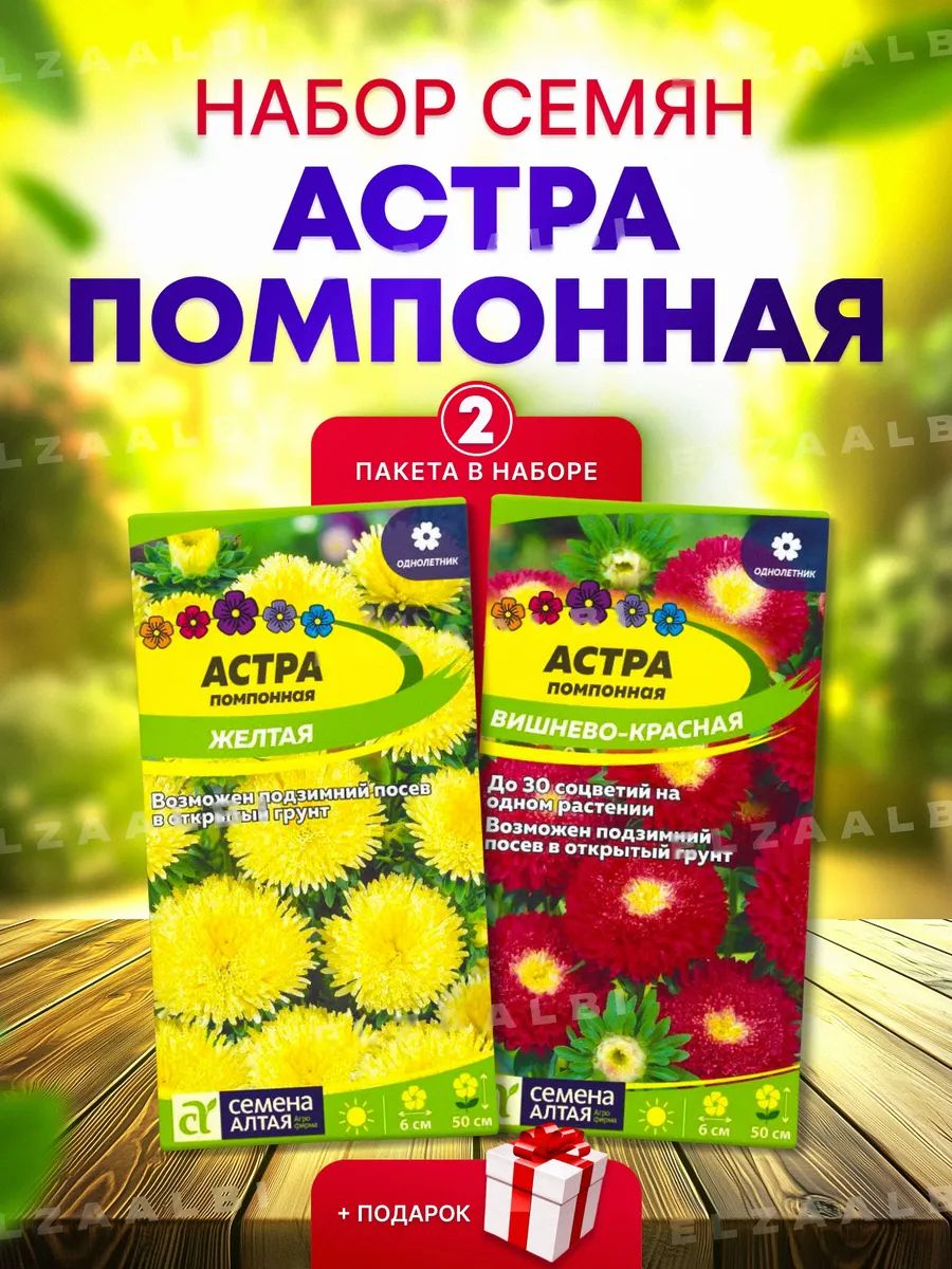 Набор семян цветов: Астра Помпонная Желтая, Астра Помпонная Вишнево-Красная