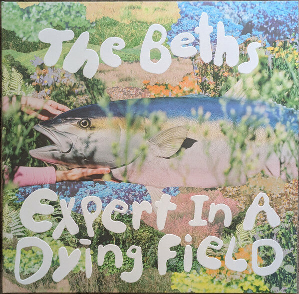 Виниловая пластинка The Beths - Expert In A Dying Field (Vinyl, LP, Album, 2024)