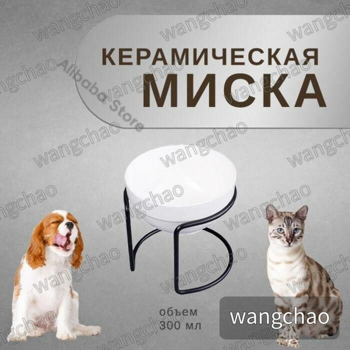 Простой керамический наклонный миска для кошек, железная подставка с устойчивым основанием