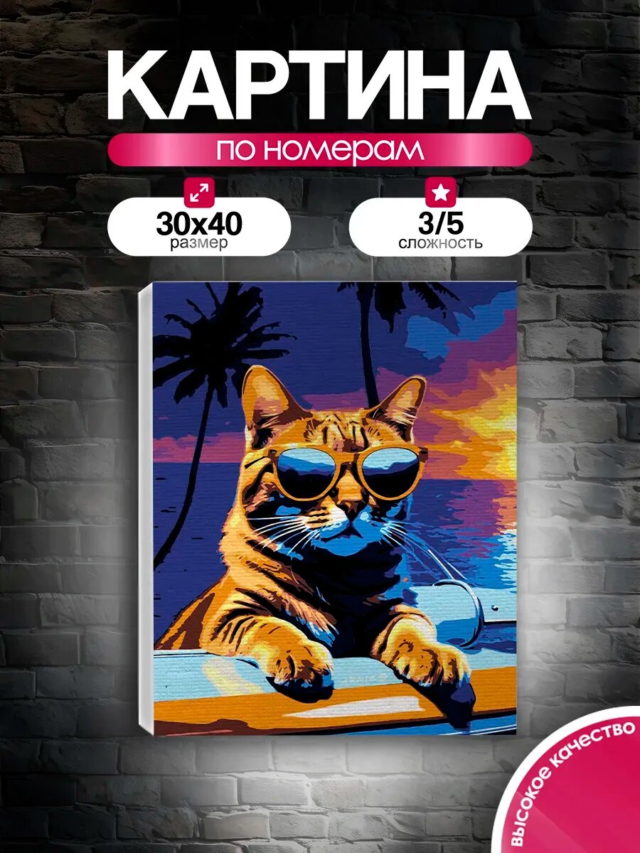 Картина по номерам 30x40 Крутой кот на отдыхе