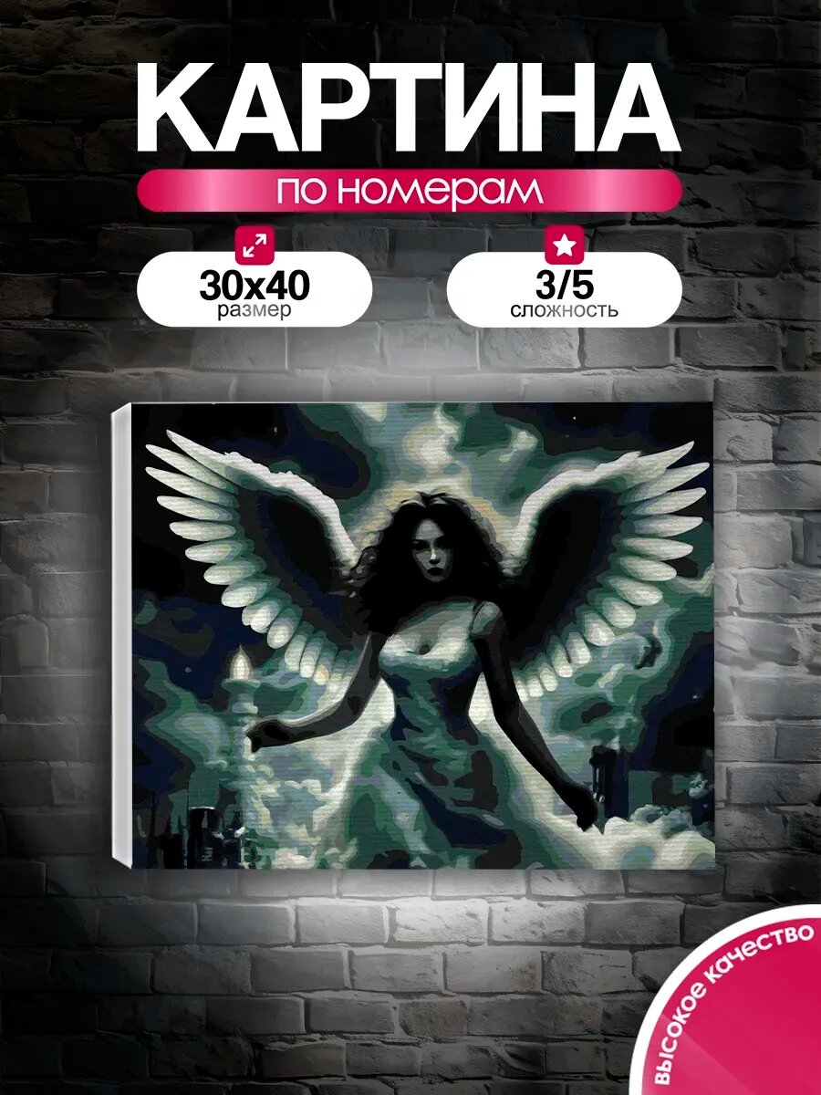 Картина по номерам 30x40 Крылья полуночи