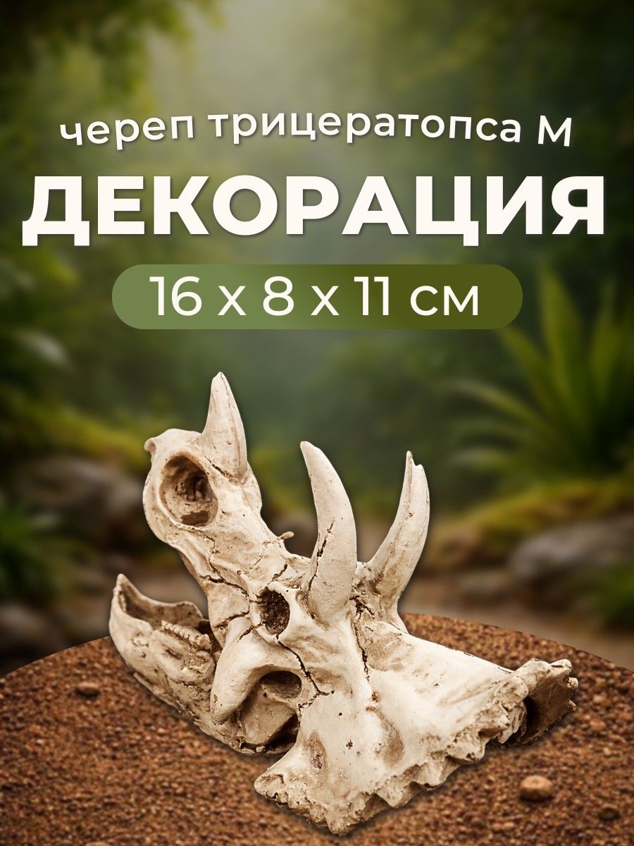 Декорация 1 шт. Nomoy Pet "Череп трицератопса M" 16х8х11 см. Номой Пет