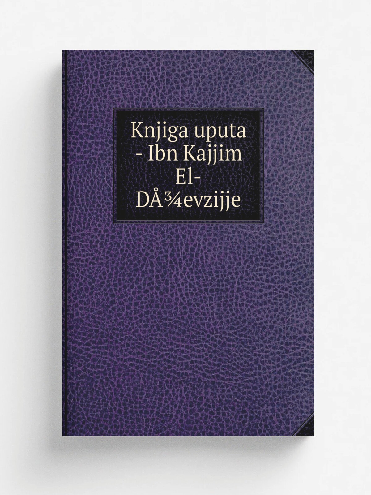 Knjiga uputa - Ibn Kajjim El-D. evzijje | Не указан | Репринт