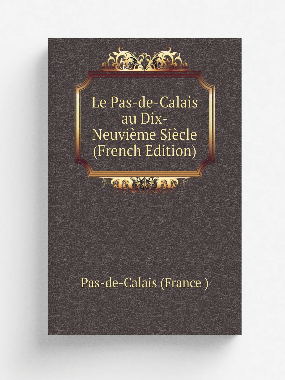 Le Pas-de-Calais au Dix-Neuvi. me Si.cle (French Edition) | Pas-de-Calais (France ) | Репринт