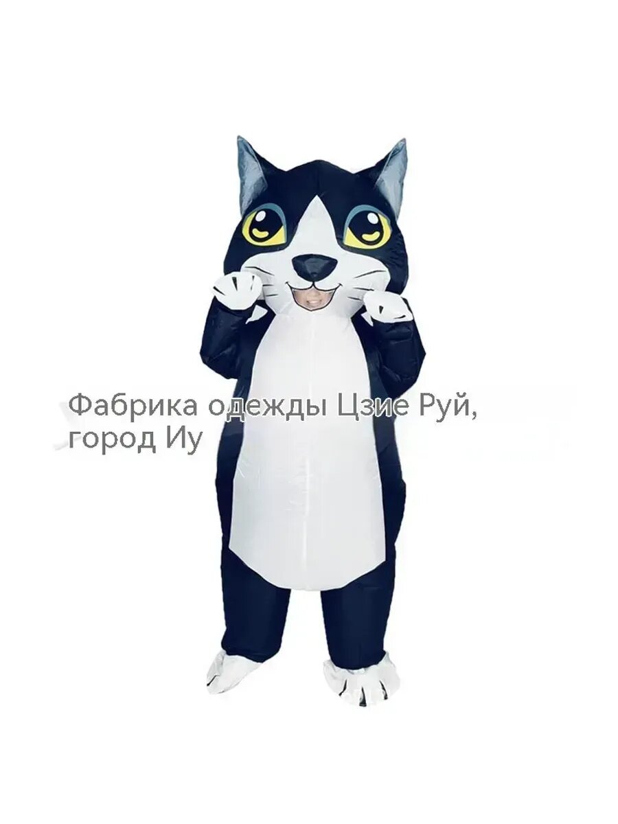 Надувной костюм Взрослые