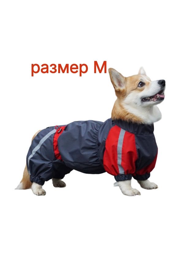Комбинезон мембранный для Корги на девочку