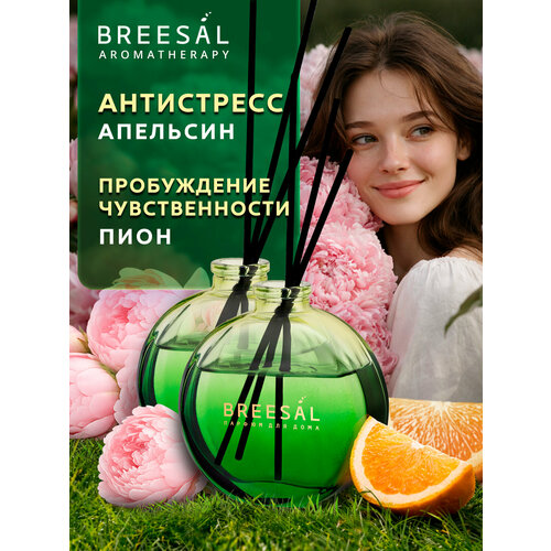 фото Диффузор ароматический для дома, ароматизатор с палочками breesal arome sticks антистресс, пробуждение, 70 мл х 2 шт