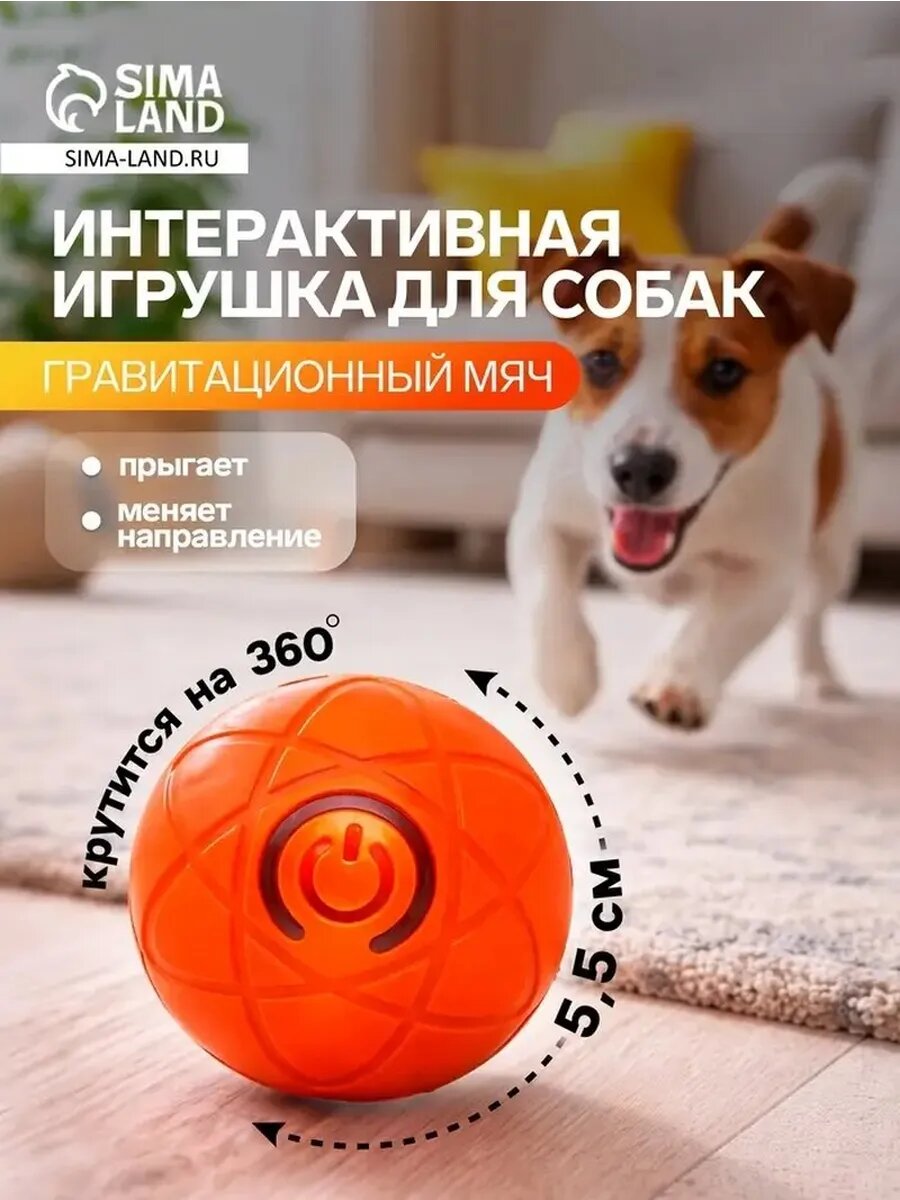 Интерактивный мяч для собак для активных игр