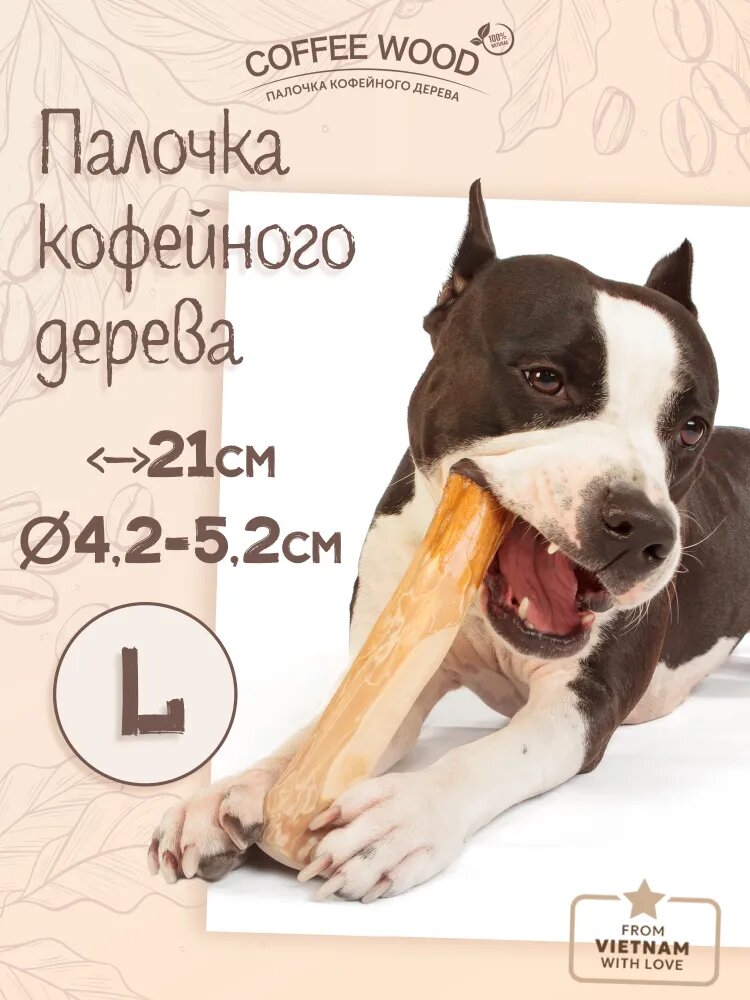 Игрушка для собак - палочка кофейного дерева Coffee Wood, L 21 см / Жевательное лакомство для чистки и здоровья зубов