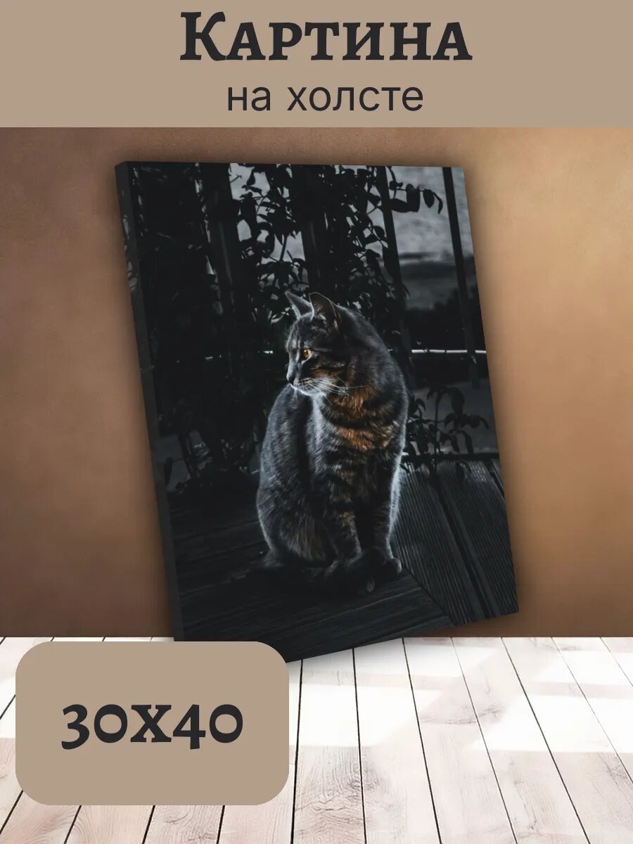Картина Постер Кот Кошка Cat 30x40 полосатый на террасе