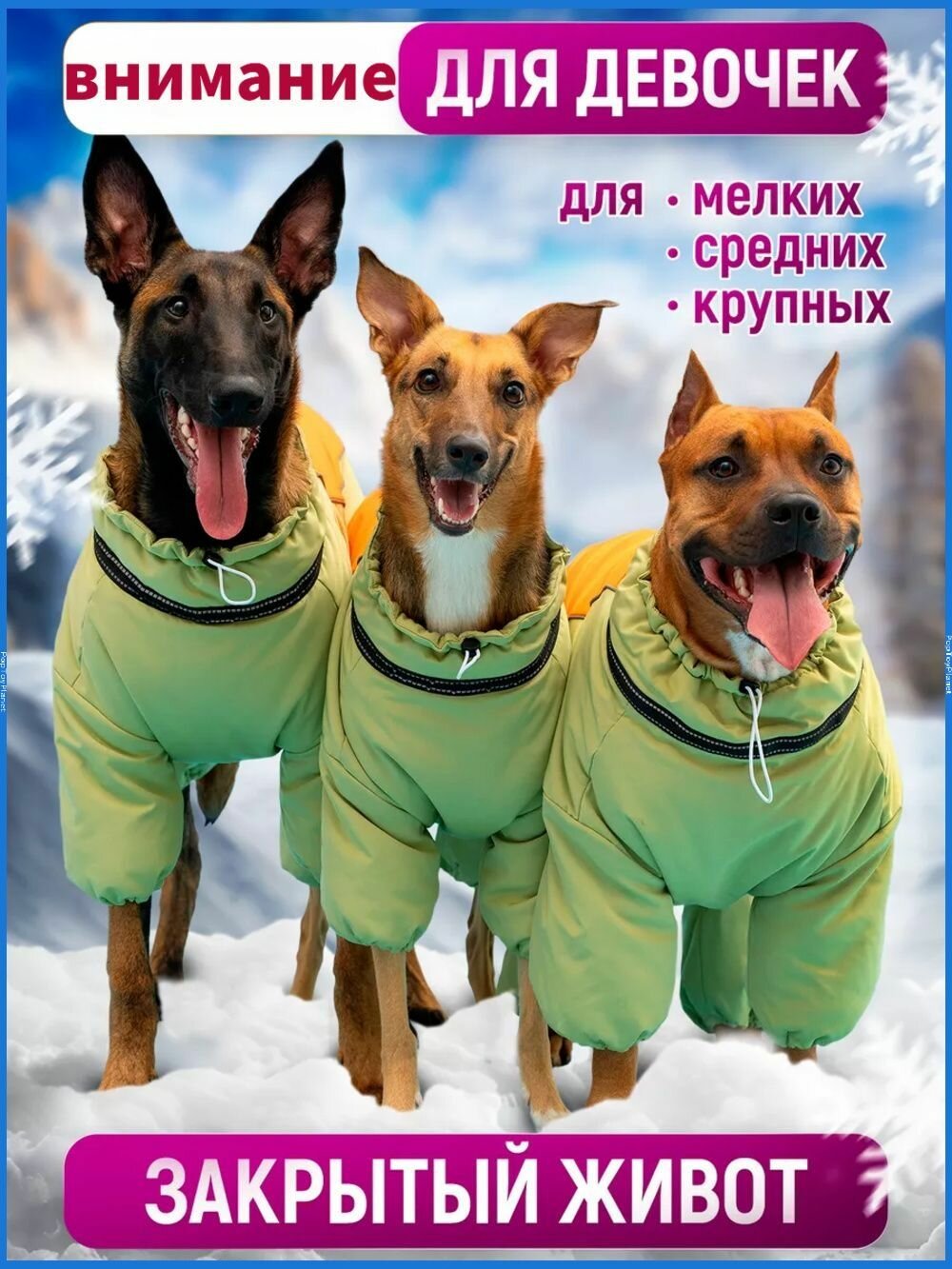 Одежда для животных